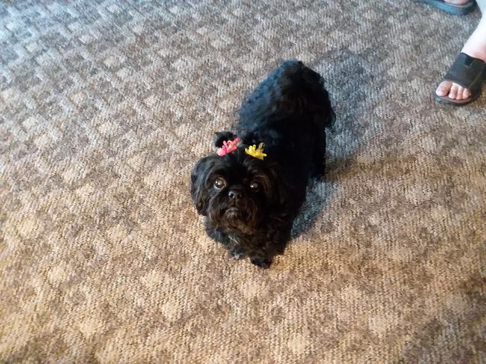 Abby will be 14 this year!